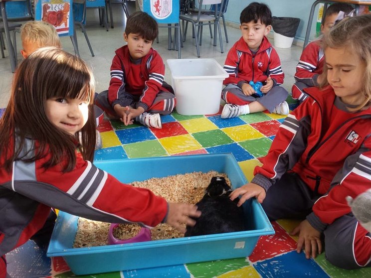 Día de la Mascota, colegio El Pinar (3)
