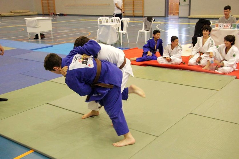 VII Torneo de Judo Alhaurín de la Torre. Foto: A. Doctor / El Ágora