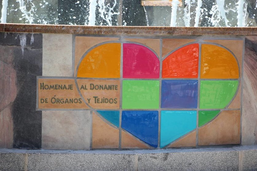 Homenaje al donante de órganos y tejidos. Foto: A. Doctor / El Ágora