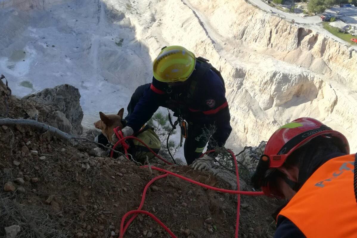 Bombros y Protección Civil rescatan a dos perros