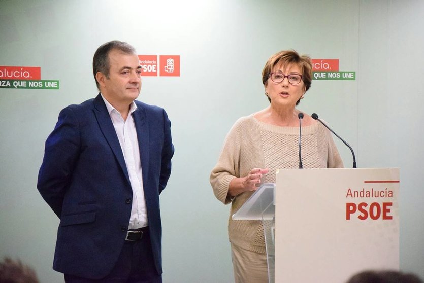 El portavoz socialista de Salud en el Parlamento de Andalucía, Francisco Vargas y la parlamentaria andaluza del PSOE, Marisa Bustinduy